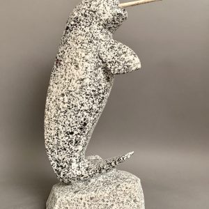 Narwhal _  Anu Arlooktoo