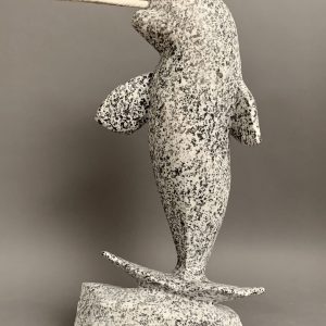 Narwhal _  Anu Arlooktoo