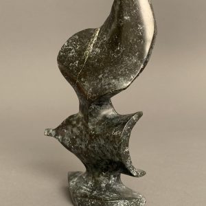 Bird In flight _  Joe Poodat