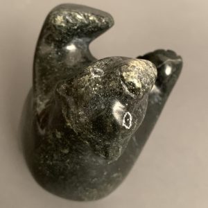 Dancing Bear _  Samonie Taqursuk 