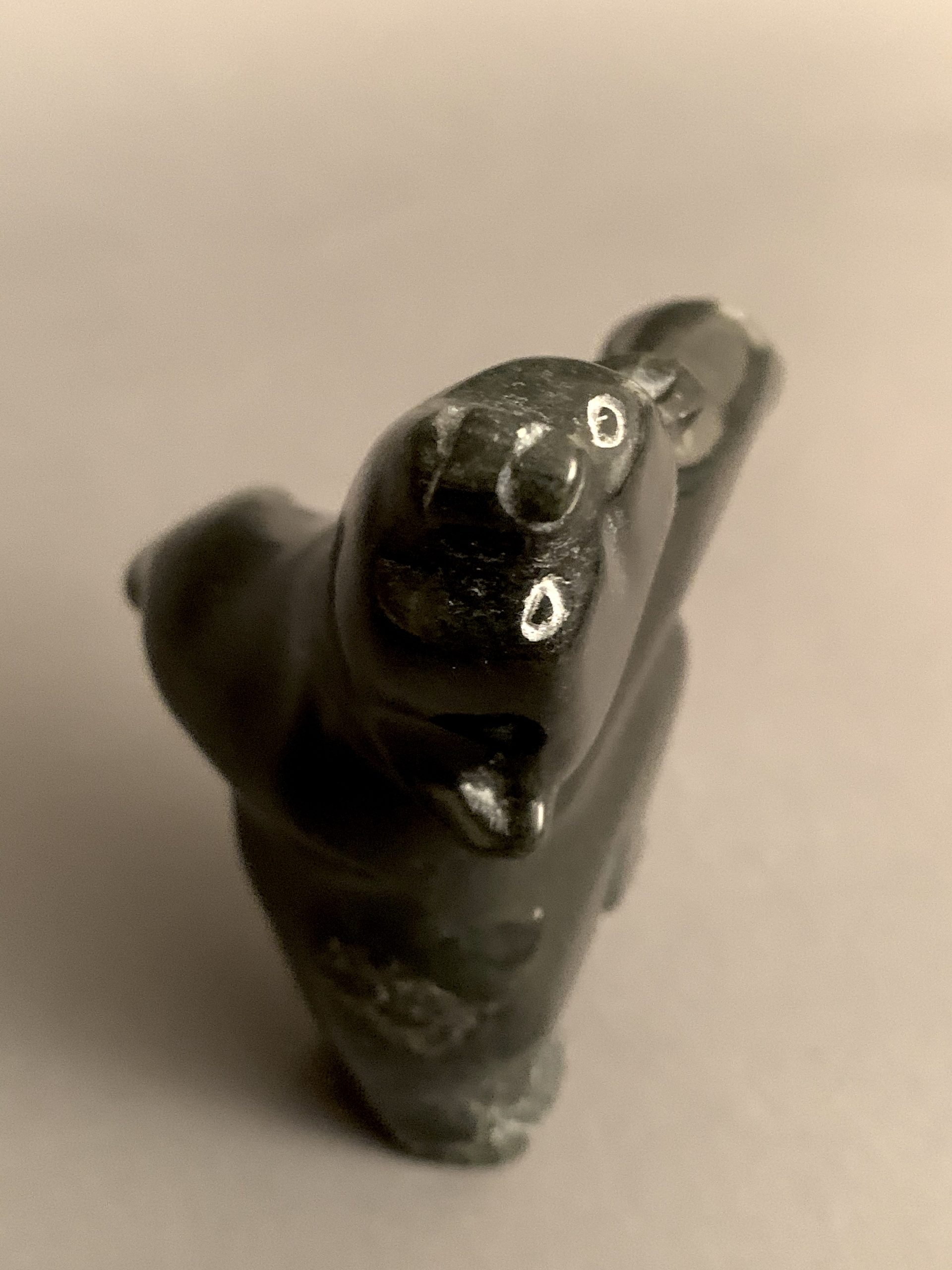 Dancing Bear _ Johnny Papigatook Dancing Bear _ Johnny Papigatook