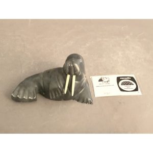 Walrus _  John Appaqaq