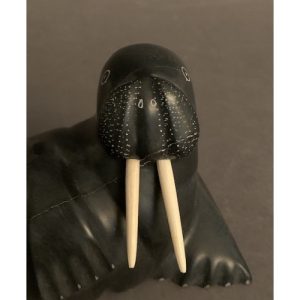 Walrus _  John Appaqaq