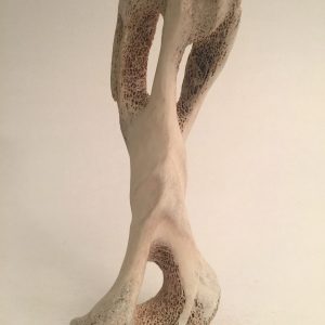 Shaman Bone_ Alex Alikashuk