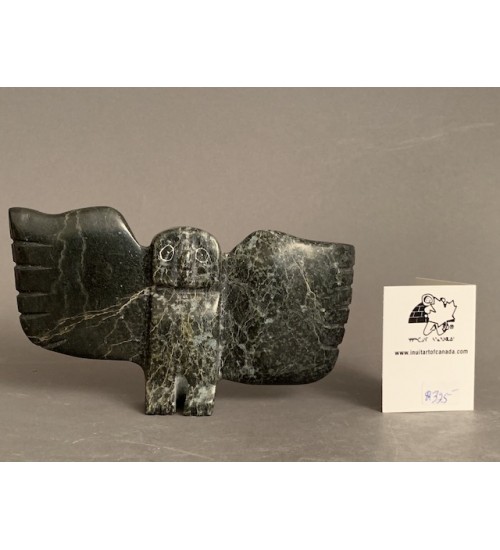 Owl _ Gii Etungat Owl _ Gii Etungat