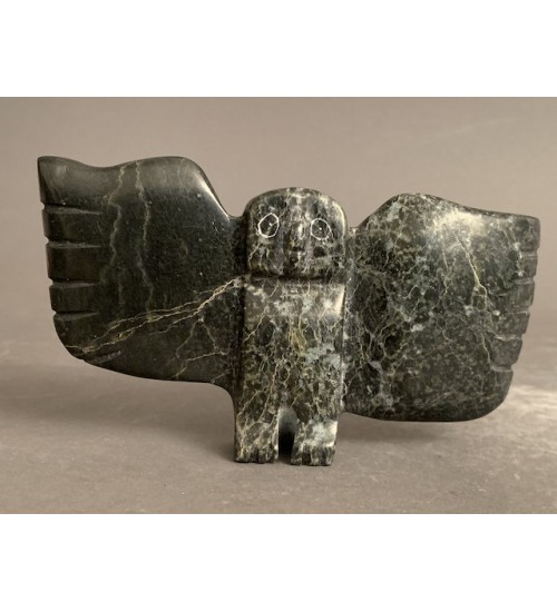 Owl _ Gii Etungat Owl _ Gii Etungat