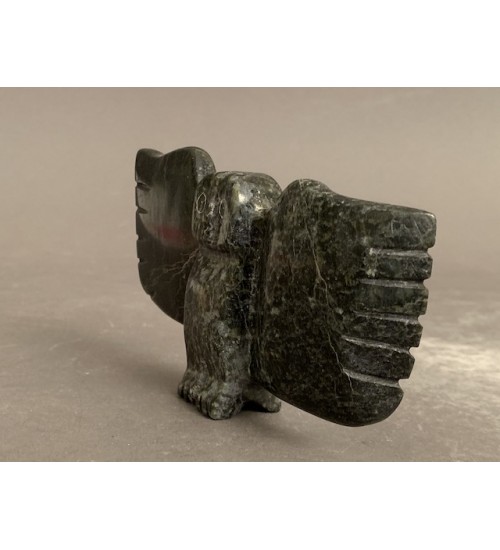 Owl _ Gii Etungat Owl _ Gii Etungat