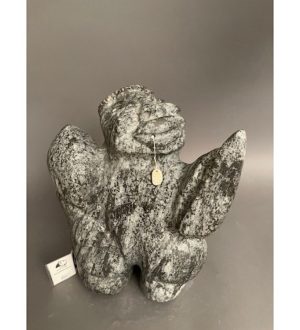 Shaman _ Charlie Okpik 
