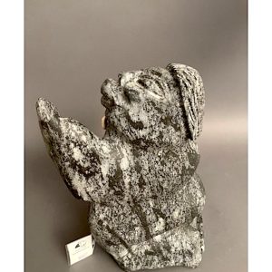 Shaman _ Charlie Okpik 