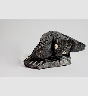 Falcon Transforming _ Ernie Porter