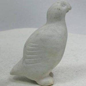 Bird _  Kaka Ashoona