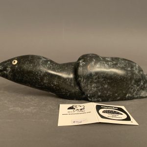 Loon _ Wayne Puqiqnak