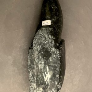 Loon _ Wayne Puqiqnak