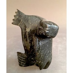 Dancing Seal _Simanik Kelly