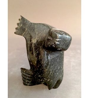 Dancing Seal _Simanik Kelly
