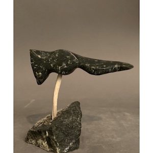 Bird In flight _  Joe Poodat