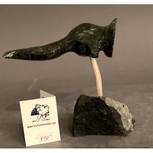 Bird In flight _  Joe Poodat