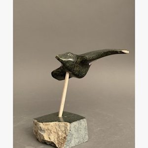 Bird _  Joe Poodat