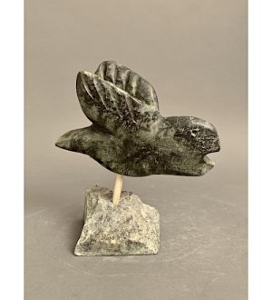  Bird _ Albert Gayutinnuaq