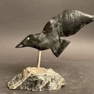Bird In flight _  Putuguk Ashevak