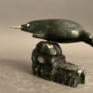 Narwhal on igloo_  Joseph Quqqiaq