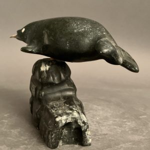 Narwhal on igloo_  Joseph Quqqiaq