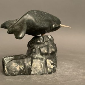 Narwhal on igloo_  Joseph Quqqiaq