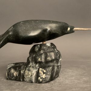 Narwhal on igloo_  Joseph Quqqiaq