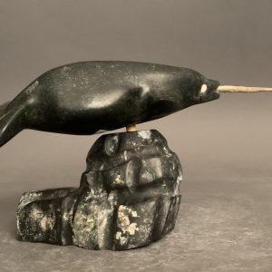Narwhal on igloo_  Joseph Quqqiaq