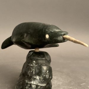 Narwhal on igloo_  Joseph Quqqiaq