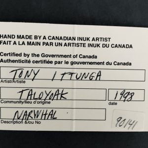 Narwhal_Tony Itunga