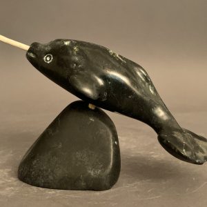 Narwhal_Tony Itunga