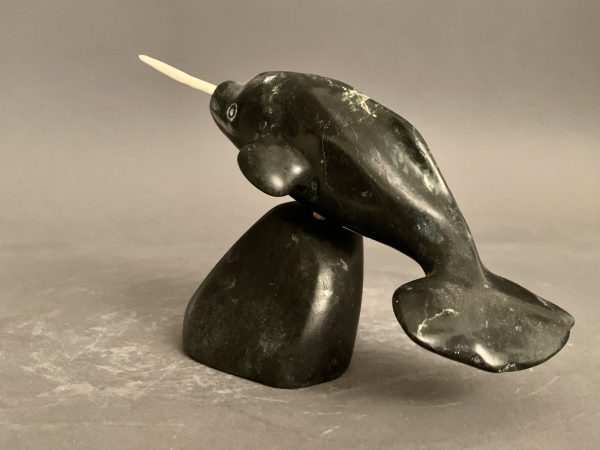 Narwhal_Tony Itunga
