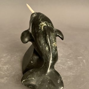 Narwhal_Tony Itunga