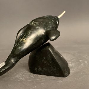 Narwhal_Tony Itunga