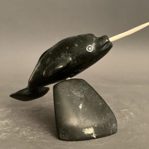 Narwhal_Tony Itunga