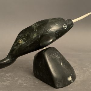 Narwhal_Tony Itunga