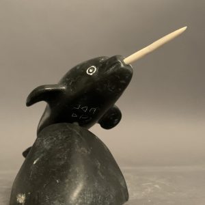 Narwhal_Tony Itunga