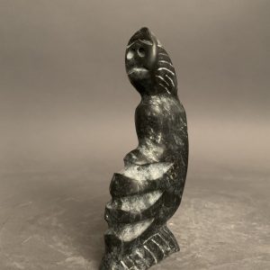 Shaman _ Albert Qayutinnuaq