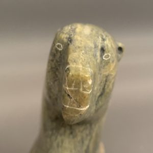 Bear _ Johnny Kilabuk