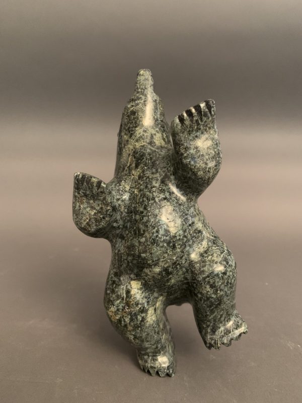 Dancing Bear _  Oqittuq Shaa