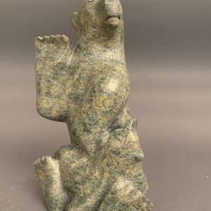 Bear _ Pits Oshutsiaq