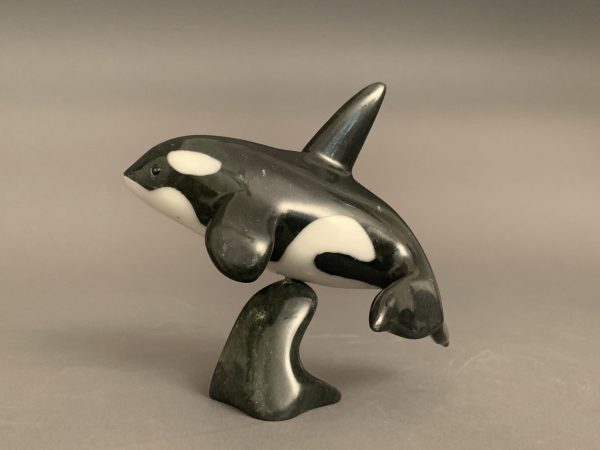 Orca _  Johnny Mathewsie