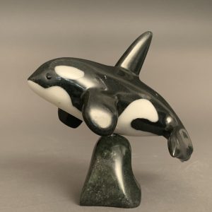 Orca _  Johnny Mathewsie
