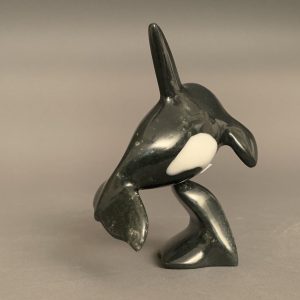 Orca _  Johnny Mathewsie