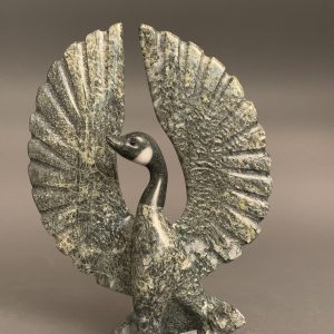 Goose_  Johnnysa Mathewsie