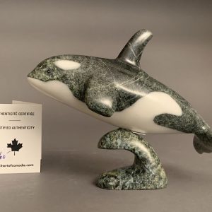 Orca _  Johnnysa Mathewsie
