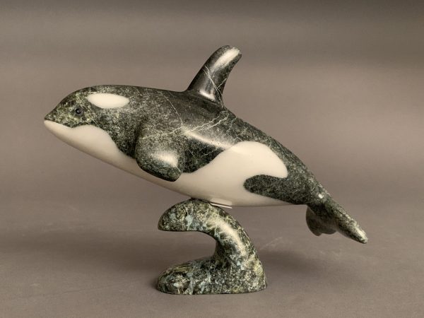 Orca _  Johnnysa Mathewsie