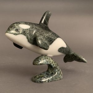 Orca _  Johnnysa Mathewsie