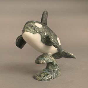 Orca _  Johnnysa Mathewsie